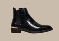 Women`s black Python leather boots with golden accent Royalty Free Stock Photo