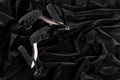 Women`s black velvet high-heeled shoes lying on a black fabric, the concept of fashion Royalty Free Stock Photo