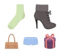 Women`s boots, socks, shorts, ladies` bag. Clothing set collection icons in cartoon style vector symbol stock
