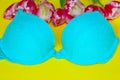 Women`s bra. Romantic lingerie.Textile, underwear. Blue bra over yellow background.