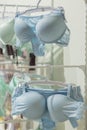 Women's bras for sale in market. Vareity of bra hanging in lingerie underwear store. Advertise, Sale, Fashion concept. Blue Royalty Free Stock Photo