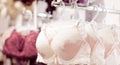 Women`s bras for sale in market. Vareity of bra hanging in lingerie underwear store. Advertise, Sale, Fashion concept Royalty Free Stock Photo