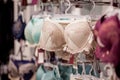 Women`s bras for sale in market. Vareity of bra hanging in lingerie underwear store. Advertise, Sale, Fashion concept Royalty Free Stock Photo