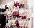 Women`s bras for sale in market. Vareity of bra hanging in lingerie underwear store. Advertise, Sale, Fashion concept