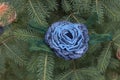 Women`s brooch of fulled wool on branches of green spruce