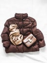 Women`s brown down jacket, cashmere scarf, leather shoulder bag on a light background, top view. Autumn, winter women`s clothing Royalty Free Stock Photo
