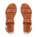 Women`s brown leather sandals isolated Royalty Free Stock Photo