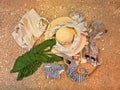 Women`s clothing lying down on sandy beach