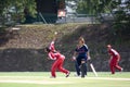 Women's Cricket Action Royalty Free Stock Photo