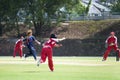 Women's Cricket Action Royalty Free Stock Photo