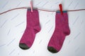 Women`s crimson socks hang and dry on a clothesline during the rain. Absurdity and humor