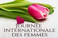 Women`s day card with French words `JournÃÂ©e internationale des femmes` Royalty Free Stock Photo