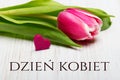 Women`s day card with Polish words DZIEÃÆ KOBIET. Royalty Free Stock Photo