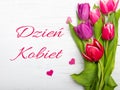 Women`s day card with Polish words DZIEÃÆ KOBIET. Royalty Free Stock Photo