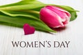 Women`s day card Royalty Free Stock Photo