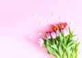 Tulip flowers and small hearts on soft pink background Royalty Free Stock Photo