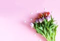 Tulip flowers and small hearts on soft pink background Royalty Free Stock Photo