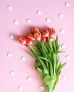 Tulip flowers and small hearts on soft pink background Royalty Free Stock Photo