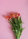 Tulip flowers and small hearts on soft pink background Royalty Free Stock Photo