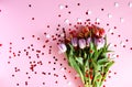 Tulip flowers and small hearts on soft pink background Royalty Free Stock Photo