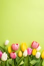 Top view vertical photo of a lot of spring flowers pink yellow and white tulips on isolated light green background Royalty Free Stock Photo