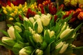 Women`s Day, lots of tulips, flower shop