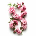 Women's day number 8 with pink pions on white background