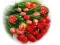 Women`s day tulip bouquet,red flowers and strawberry .greeting card ,spring holiday celebrating