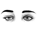 Women`s eyes sketch vector graphic