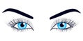 Women's eyes. Vector illustration.