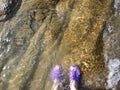 Women's feet in flip-flops, slippers are submerged in water near the shore, on stone in Sunny weather