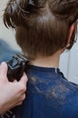 Women`s haircut at home. Hairdresser cuts a girl at home.