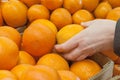 Women`s hand choosing the oranges in market Royalty Free Stock Photo