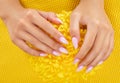 Women`s hands with a beautiful pale pink manicure. The girl is holding a yellow chrysanthemum. Professional care for hands Royalty Free Stock Photo