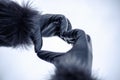 Women`s hands in black leather gloves in the shape of a heart Royalty Free Stock Photo