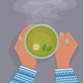 Women`s hands in a blue sweater are warming, gently holding a cup of green tea, with chamomile and mint. View from above. Royalty Free Stock Photo