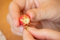 Women`s hands close-up fingering a forest berry