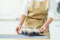 Women's hands of a confectioner, trim cupcakes with berries Royalty Free Stock Photo