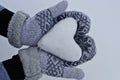 Women`s hands in cozy warm mittens keep the heart out of the snow against the background of snow