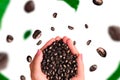 Women`s hands dropping coffee on white background with levitating grains of coffee and leafs