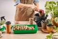 Women`s hands fill peat pots for plants with soil. Process of preparation prepended seedlings for the new season. Royalty Free Stock Photo