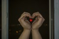 Women`s hands in the form of a heart-a symbol of love