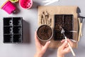 WomenÃ¢â¬â¢s hands with garden tool cover the seeds with earth. Container for seedlings with soil and seeds. Gardening, the spring Royalty Free Stock Photo