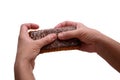 Women`s hands hold a big and tasty gingerbread.