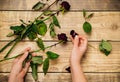 Women`s hands hold dry roses on a wooden background. Compilation of herbarium.The concept of aging and withering Royalty Free Stock Photo