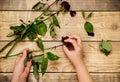 Women`s hands hold dry roses on a wooden background. Compilation of herbarium.The concept of aging and withering Royalty Free Stock Photo