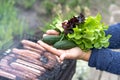 Women`s hands hold salad greens. Picnic in nature. Sausages on the grill. Selective focus.