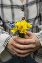Women`s hands hold a small bouquet of yellow flowers. First spring flowers Royalty Free Stock Photo