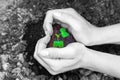 Women`s hands hold the soil with a sprout. The shape of a heart. Concept of ecology and earth day. Black and white colors