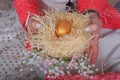 Women`s hands holding an egg with nest Royalty Free Stock Photo